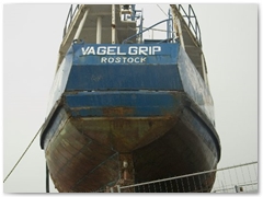 Vagel Grip_10