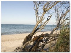 Weststrand_1