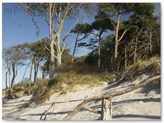 Weststrand_10