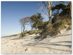 Weststrand_11