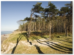 Weststrand_15