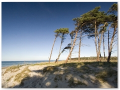 Weststrand_16