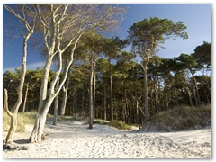 Weststrand_20