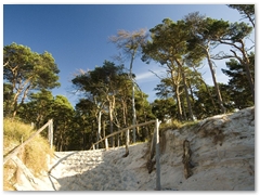 Weststrand_22