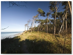 Weststrand_5