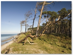 Weststrand_6